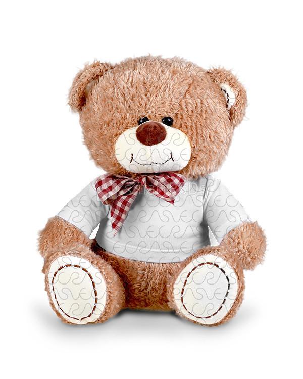 Teddy Bear Dress Design Mockup - 2 Views