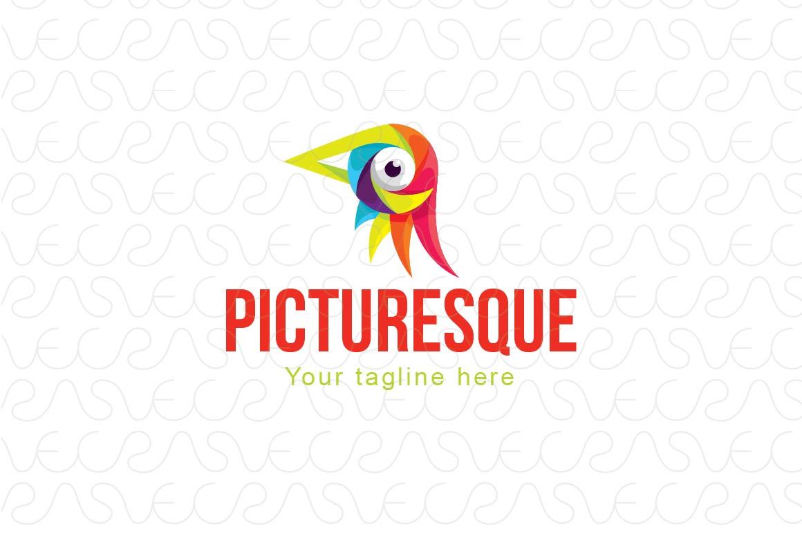Picturesque - Colourful Bird Eye Stock Logo Template for Photography Studio
