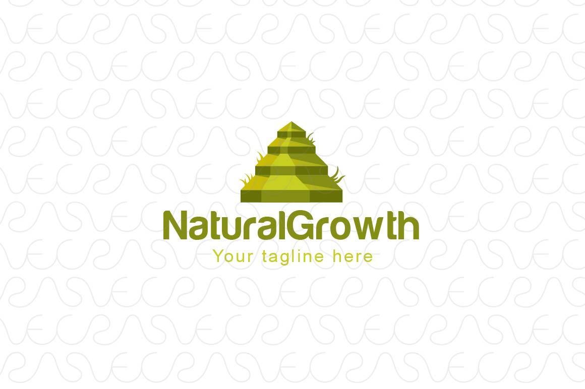 Natural Growth - Green Steps Stock Logo Template for Growing Business