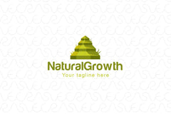 Natural Growth - Green Steps Stock Logo Template for Growing Business