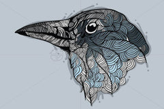 Raven - Vector Graphic Image of Bird