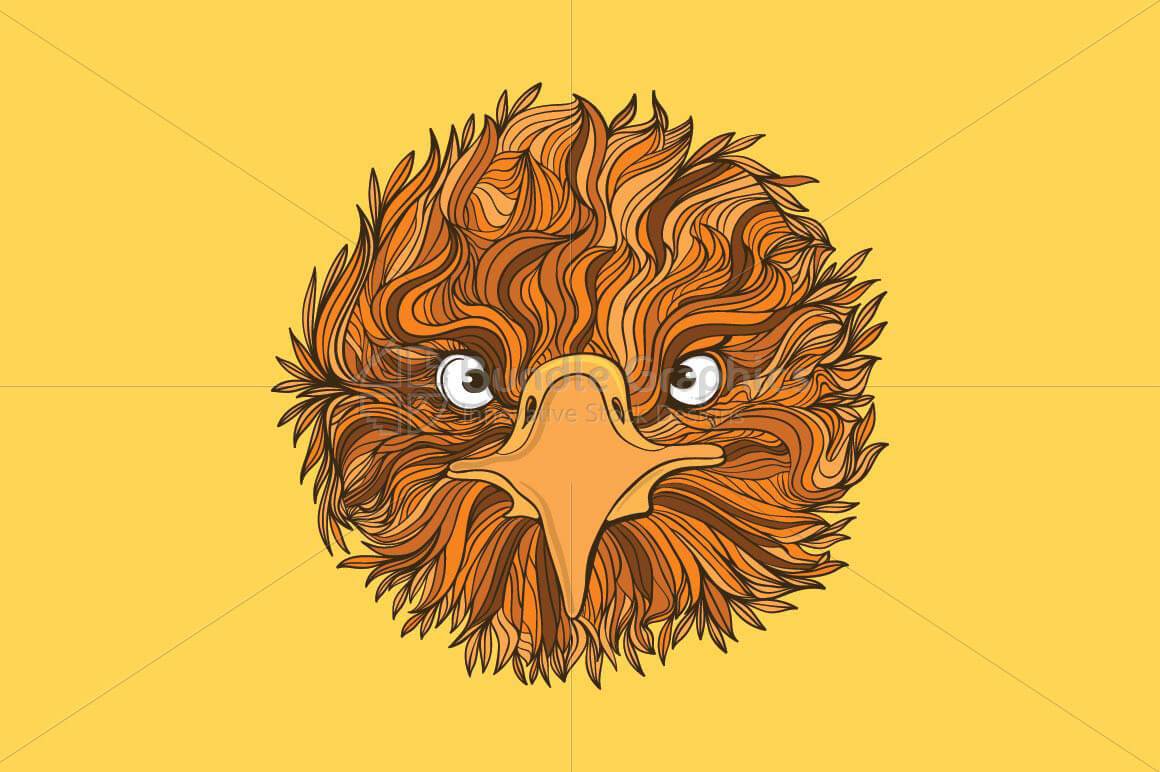 Cute Eagle Bird - Front Profile