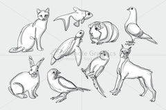 Animals & Birds Graphics