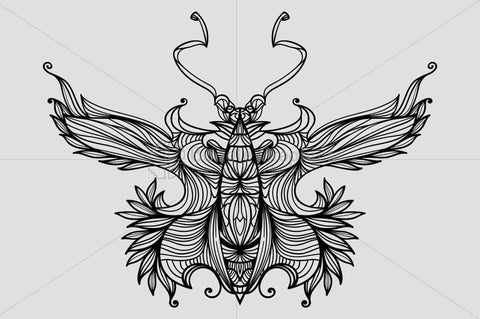 Symetrical Linear Butterfly Insect
