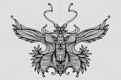 Symetrical Linear Butterfly Insect