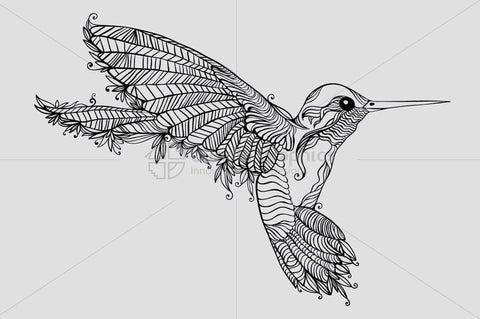 Humming Bird- Creative Linear Graphic