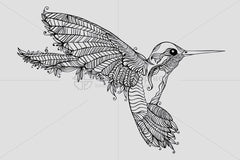 Humming Bird- Creative Linear Graphic