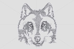 Wild Animal Wolf Vector Graphic