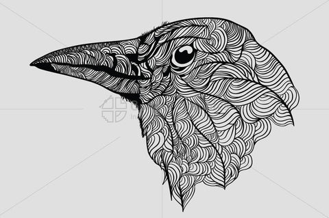 Raven - Vector Graphic Image of Bird