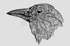Raven - Vector Graphic Image of Bird