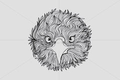 Cute Eagle Bird - Front Profile