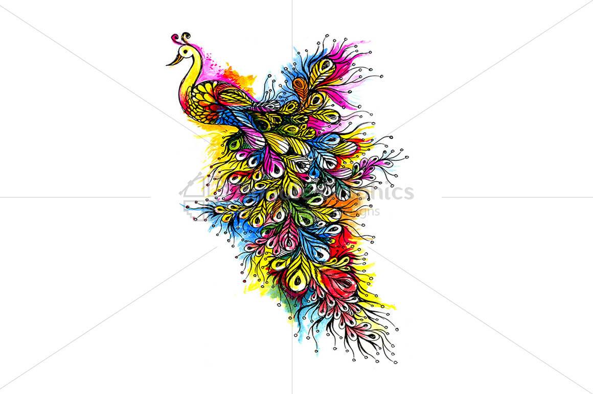 Peacock - Handmade Ink Graphics