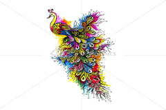 Peacock - Handmade Ink Graphics